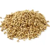coriander seeds 