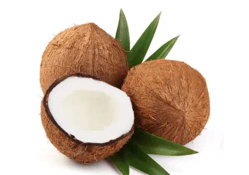 coconut