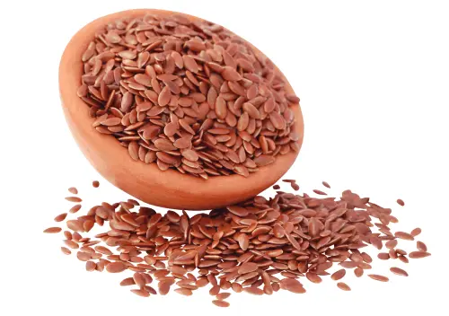 Flax Seeds